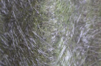 Stoke Ash fibreglass roof work